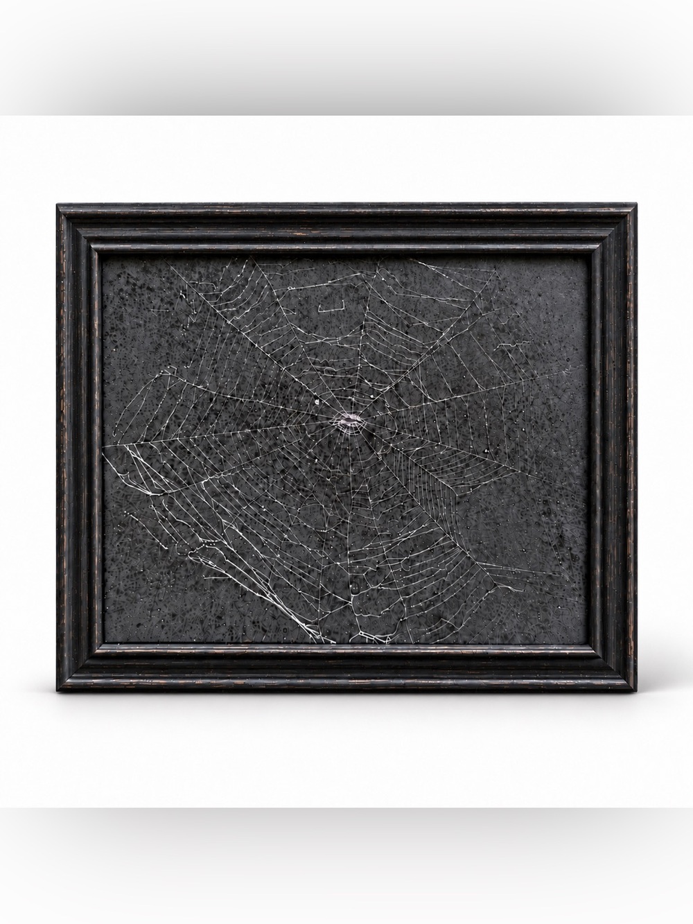 Real Preserved Spiderweb Art 8.5 × 11 Inch | Black gold accent Frame